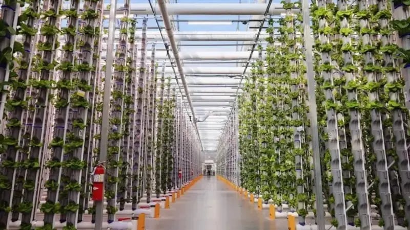 Eden green vertical greehouse