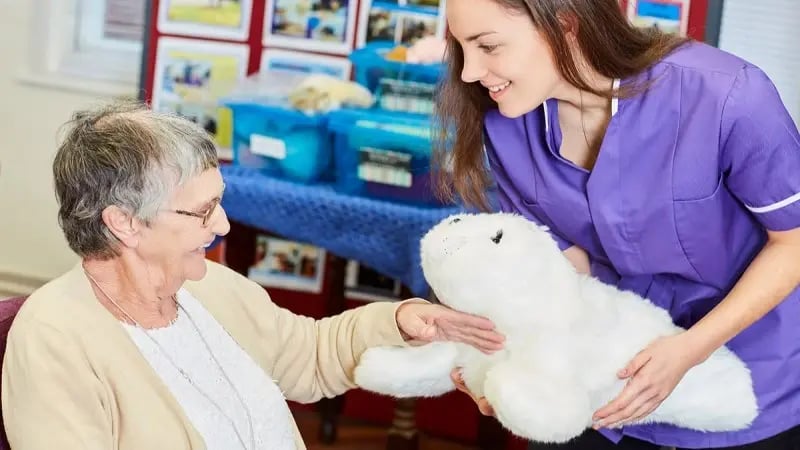 Paro robotic seal